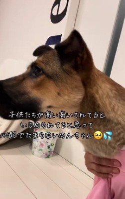 子どもたちを『たかいたかい』していたら…