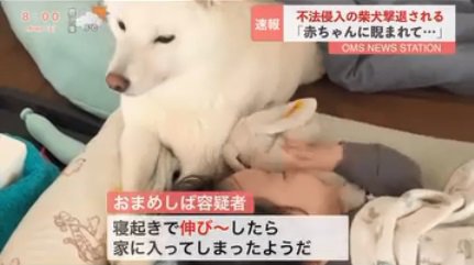 伸びをしたおまめくん