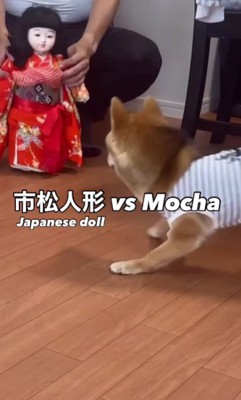 市松人形との攻防戦