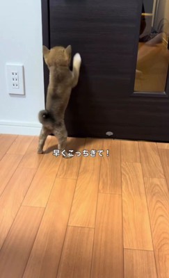 嬉しさが止まらない