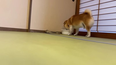 急に水を飲むことも