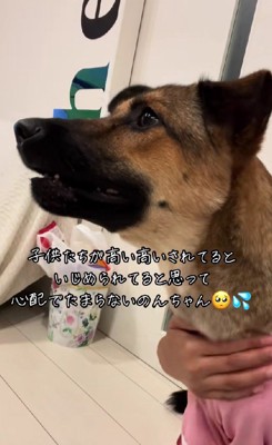 「子どもたちがいじめられている!」