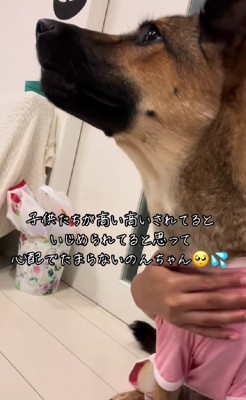 のんちゃんの様子がおかしい…