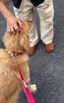 またお兄さんの元へいくゆずくん