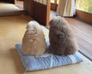 仲良し