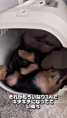 今ではギチギチに!!