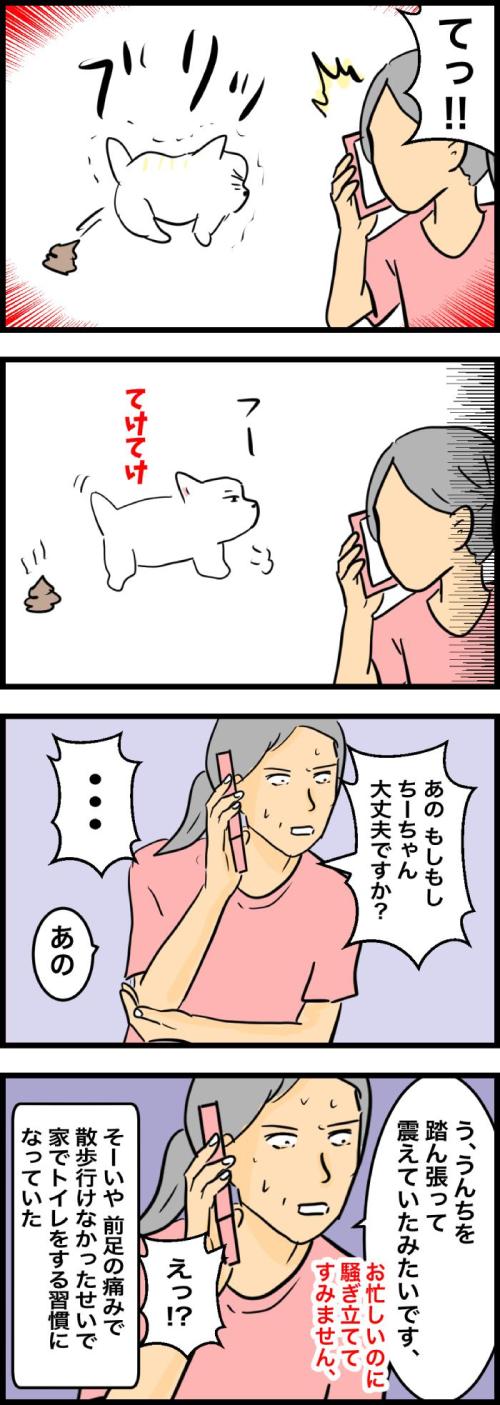 ちーちゃんですけどもっ【第330話】2