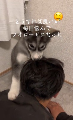 はまちちゃんの成長記録4