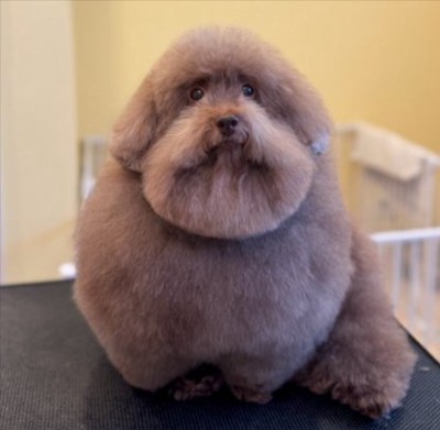 ふわふわ