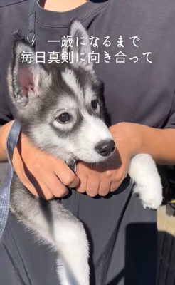 はまちちゃんの成長記録6