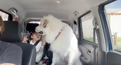 ソワソワ…