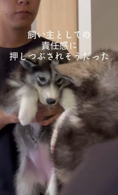 はまちちゃんの成長記録3