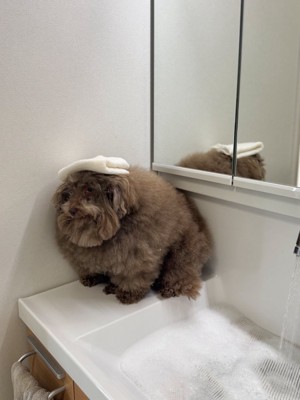 お風呂