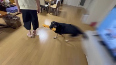 「待ってたよ~!!」