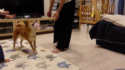 ニコニコ笑顔に♪