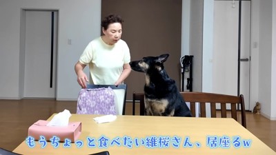 「もうちょっと食べたい…」