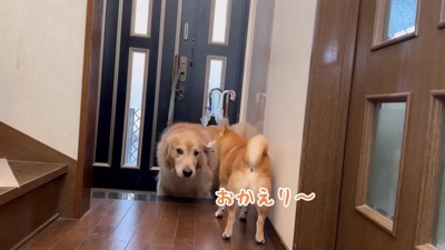 帰宅後のニオイチェック