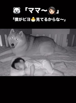 「僕たちがいるから大丈夫だよ!」