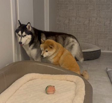 シンクロ