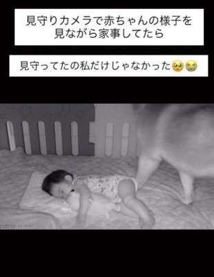 赤ちゃんの様子を確認してたら…