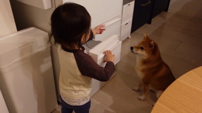 「最後はやっぱり氷だね」