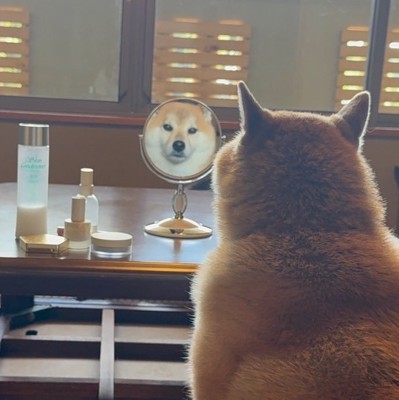 後ろ姿
