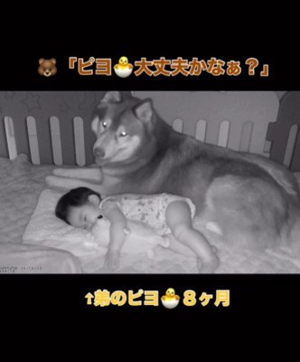 「ちゃんと眠れてるかな?」
