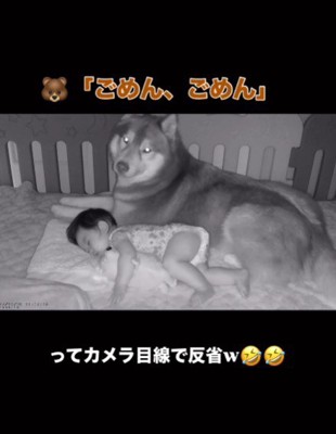 「危なかったけどセーフだよ」
