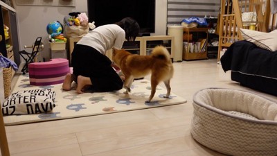 「食べちゃうぞー!」