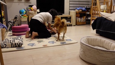 「ママ…何してるの…?」