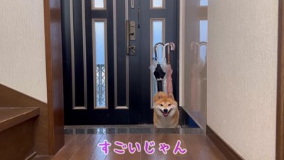 「次は僕の番」