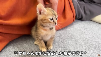 リサちゃんも一安心♡