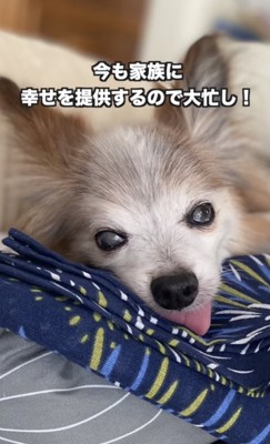 ずーっと大忙し!