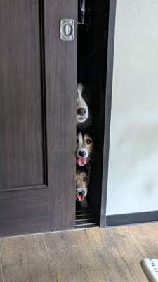 仲良く