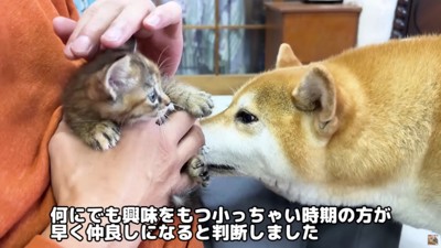 リナちゃんとご挨拶