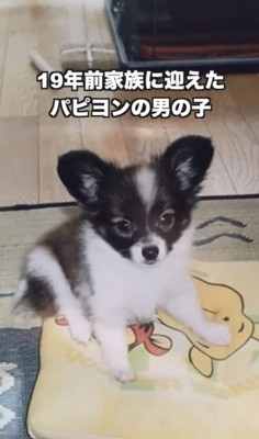 小さかったあの頃