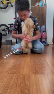 ピョンピョンと飛び跳ねます