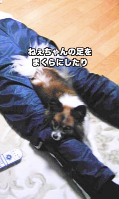 一緒に成長してきました