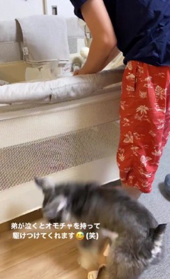 「さくくんが泣いてる!」