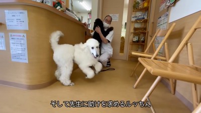今度は獣医師さん!!