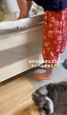 「全然泣き止まない…」