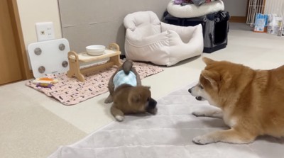 強めの「指導」が入ります