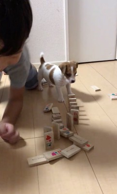 男の子も楽しんでます