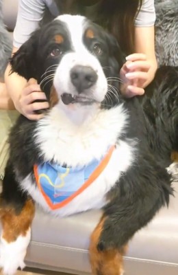 右頬が上がるハリーくん