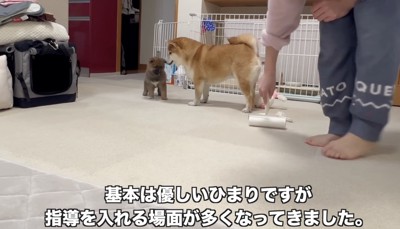そこにはいつもママが…