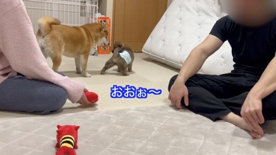 ひまりちゃん、初めて怒った!