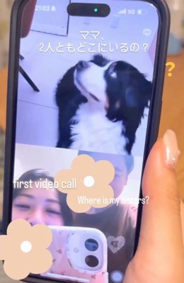 ママに確認するハリーくん