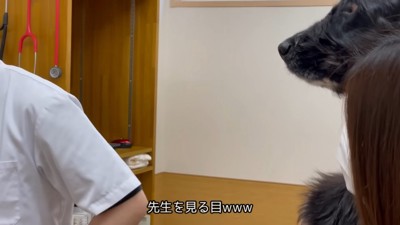 「先生、やめてね」