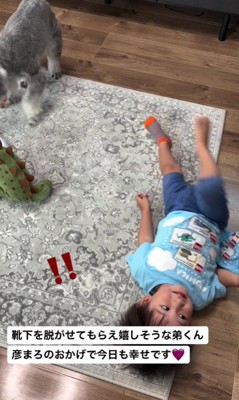 「やったー!大成功!!」