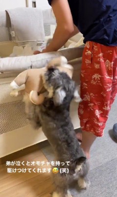 「触ると安心するよ!」